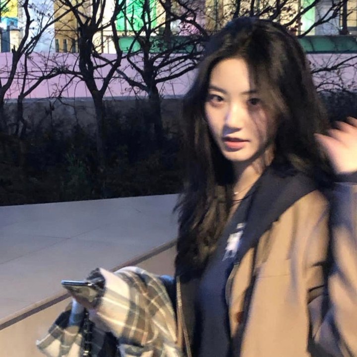 黑板丛林